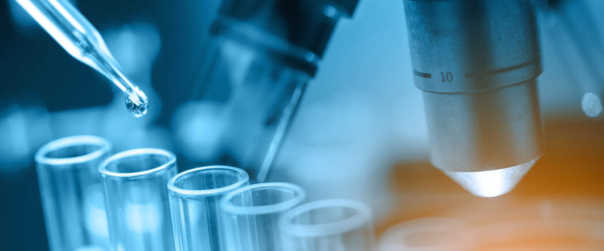 shutterstock_530971462